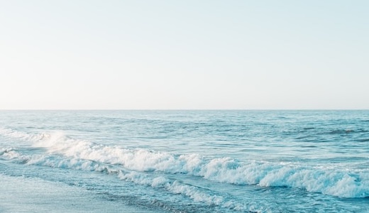 布団のカビと湿気対策「い草マット」買って良かった